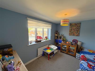 Picture 12